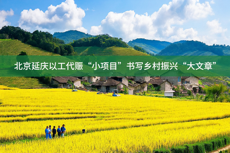 北京延慶以工代賑“小項目”書寫鄉村振興“大文章”