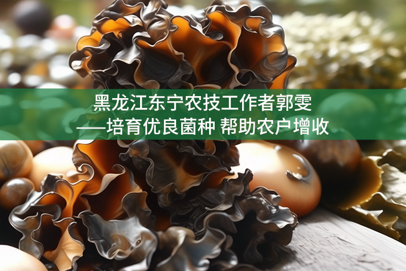 黑龍江東寧農技工作者郭雯——培育優良菌種 幫助農戶增收