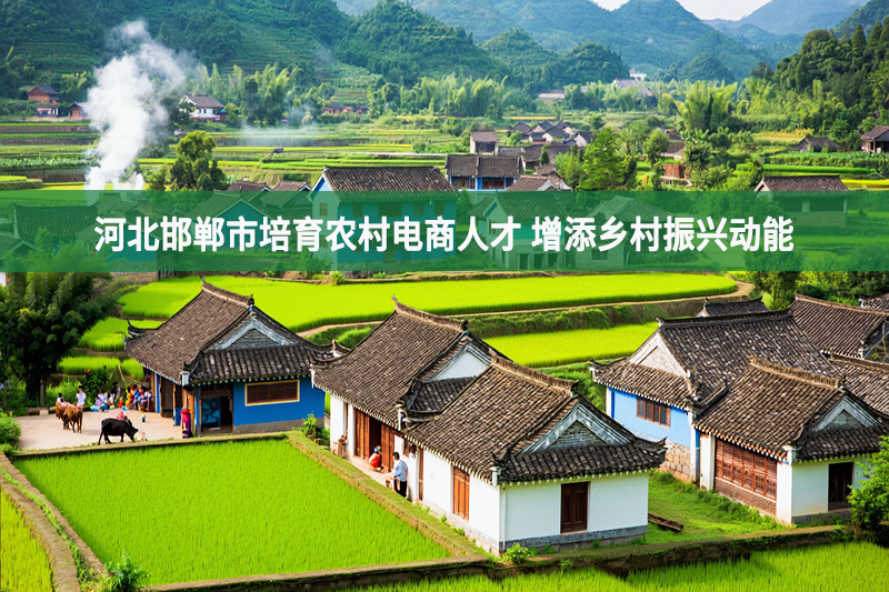 河北邯鄲市培育農村電商人才 增添鄉村振興動能