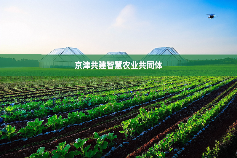 京津共建智慧農業共同體