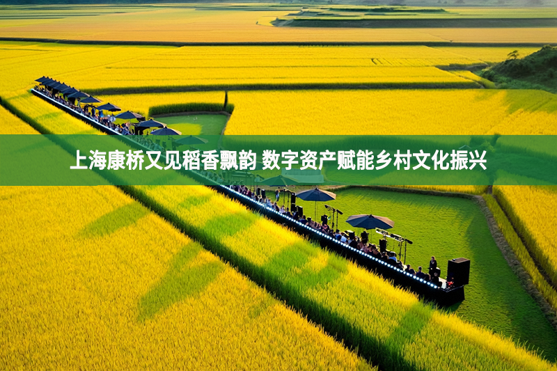 上?？禈蛴忠姷鞠泔h韻 數字資產賦能鄉村文化振興