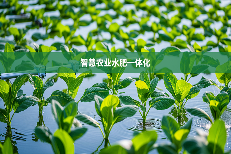 聚英智慧農業水肥一體化