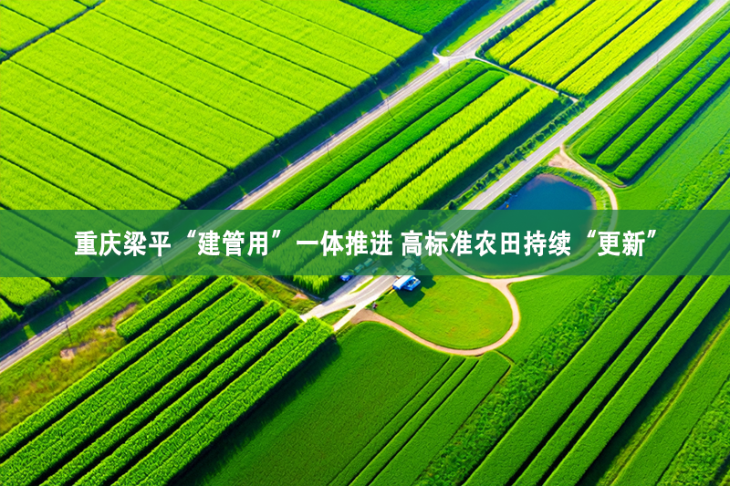 重慶梁平“建管用”一體推進 高標準農田持續“更新”