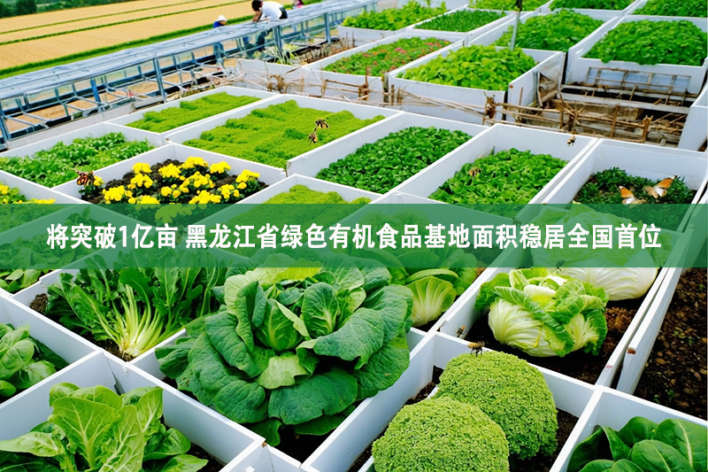 將突破1億畝 黑龍江省綠色有機食品基地面積穩居全國首位