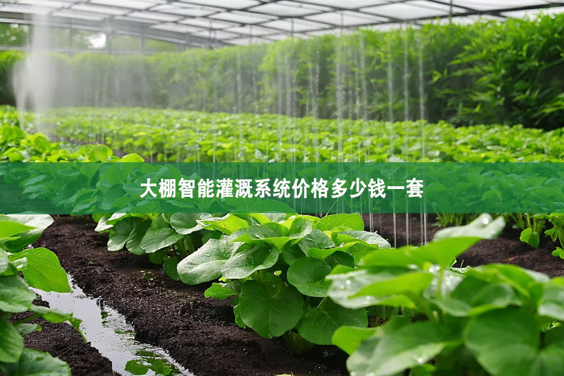 大棚智能灌溉系統(tǒng)價格多少錢一套