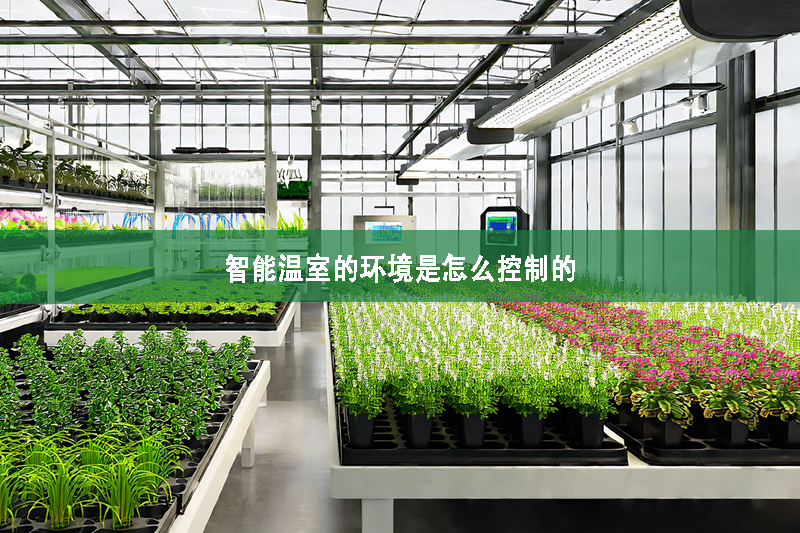 智能溫室的環境是怎么控制的