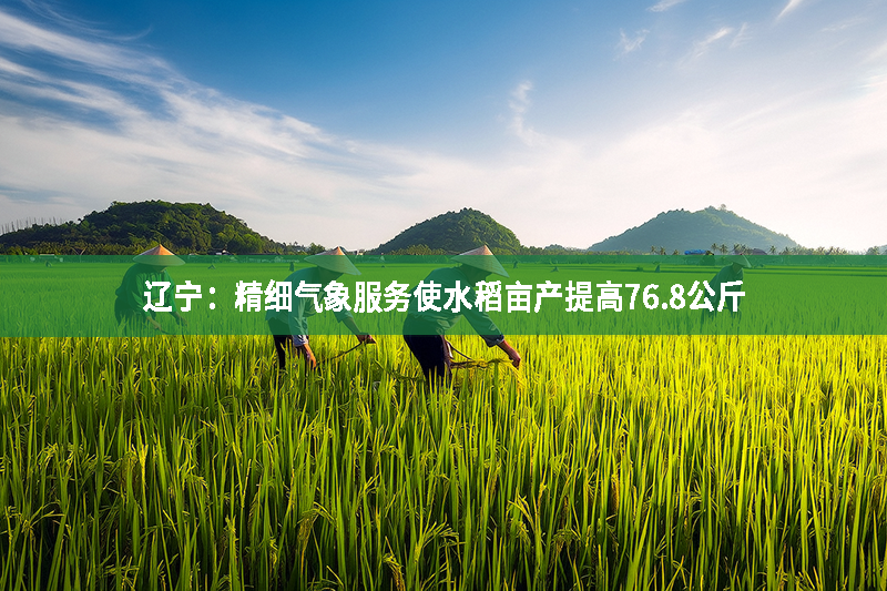 遼寧：精細氣象服務(wù)使水稻畝產(chǎn)提高76.8公斤