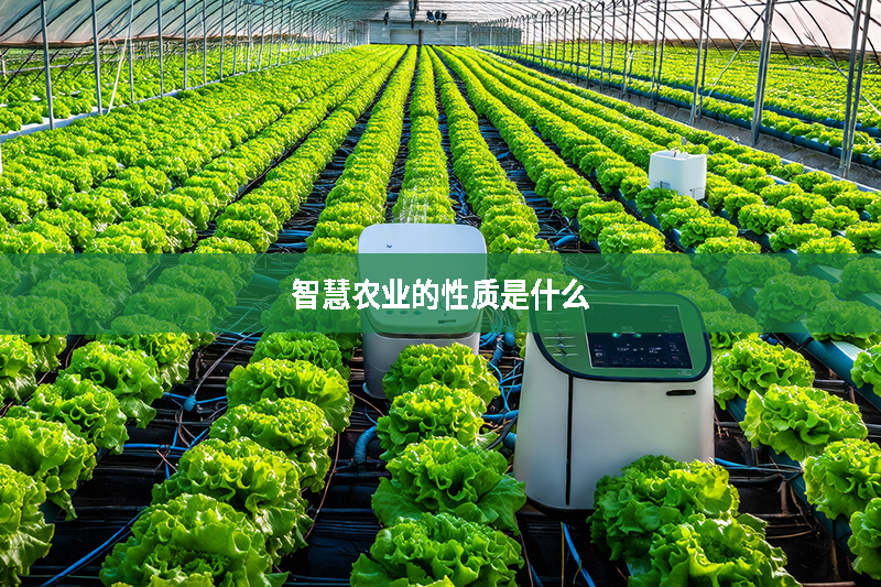 智慧農(nóng)業(yè)的性質(zhì)是什么