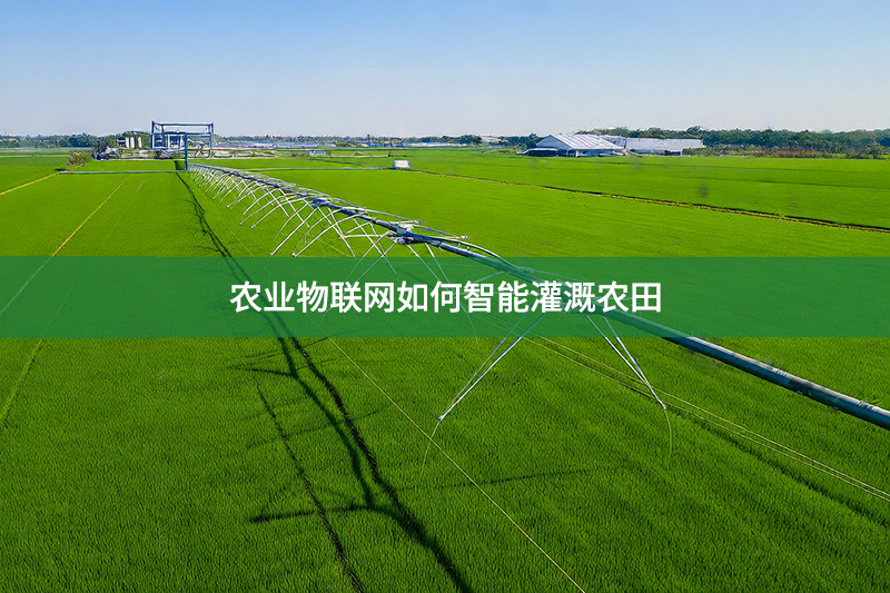 農(nóng)業(yè)物聯(lián)網(wǎng)如何智能灌溉農(nóng)田