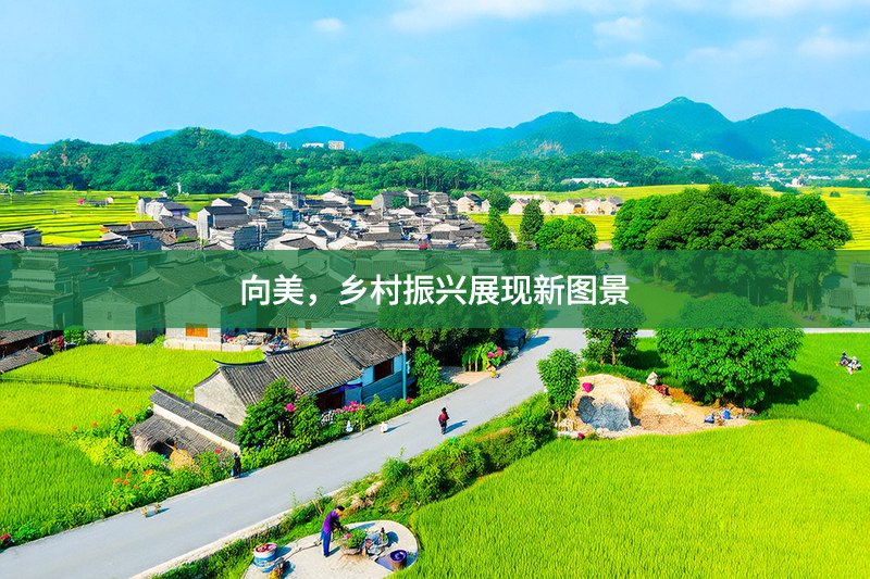 向美，鄉村振興展現新圖景