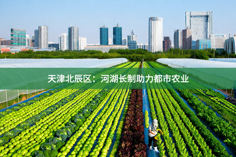 天津北辰區：河湖長制助力都市農業