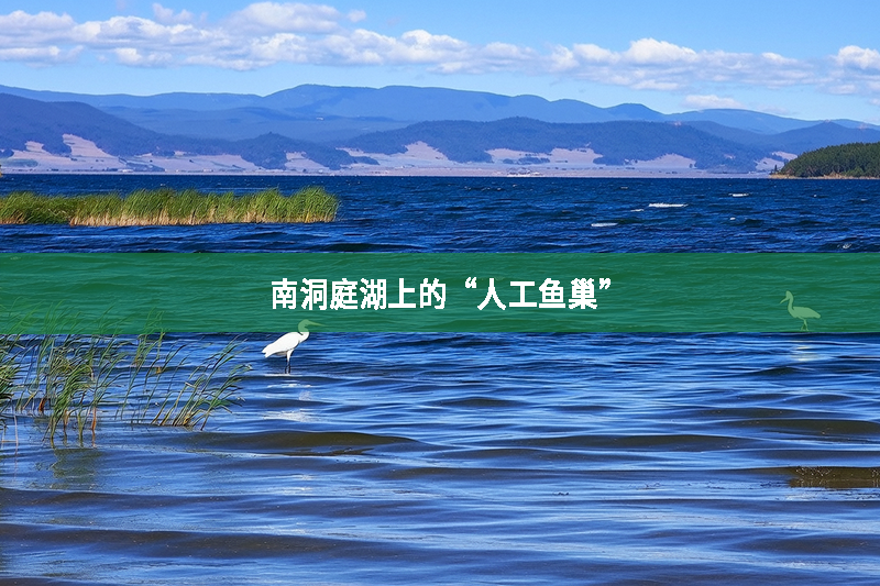 南洞庭湖上的“人工魚巢”