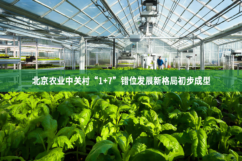 北京農業中關村“1+7”錯位發展新格局初步成型