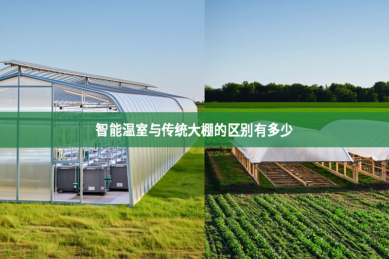 智能溫室與傳統大棚的區別有多少