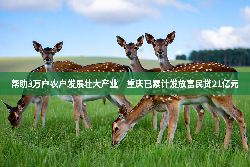 幫助3萬戶農戶發展壯大產業　重慶已累計發放富民貸21億元