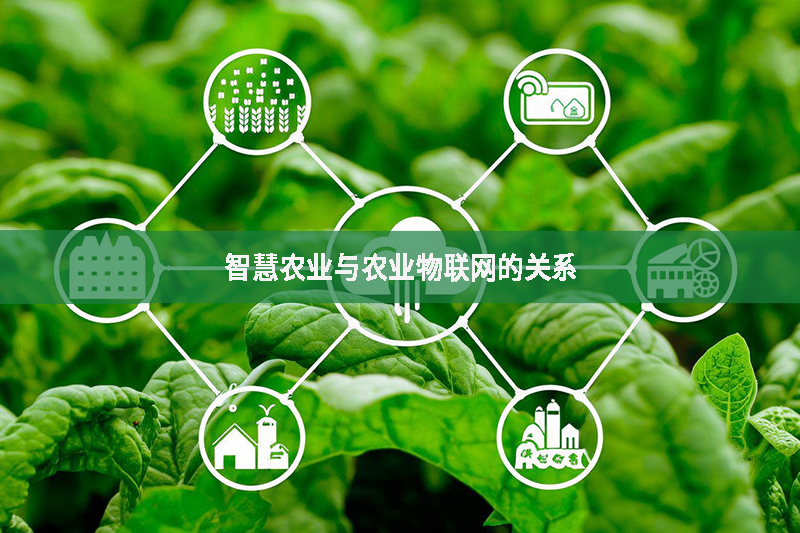 智慧農(nóng)業(yè)與農(nóng)業(yè)物聯(lián)網(wǎng)的關(guān)系