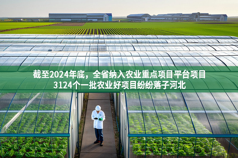截至2024年底，全省納入農業重點項目平臺項目3124個一批農業好項目紛紛落子河北
