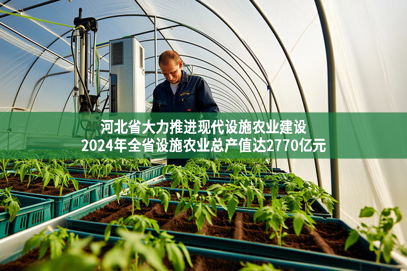 河北省大力推進現(xiàn)代設(shè)施農(nóng)業(yè)建設(shè) 2024年全省設(shè)施農(nóng)業(yè)總產(chǎn)值達2770億元