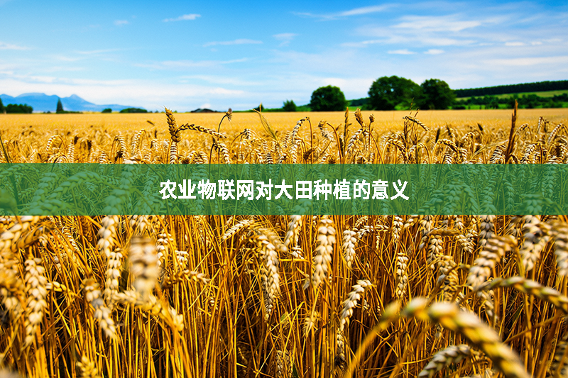 農(nóng)業(yè)物聯(lián)網(wǎng)對(duì)大田種植的意義