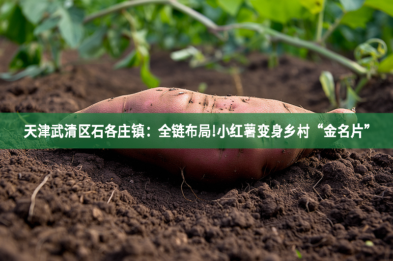 就這樣吧，我自己用賬號刷4-5個點贊量