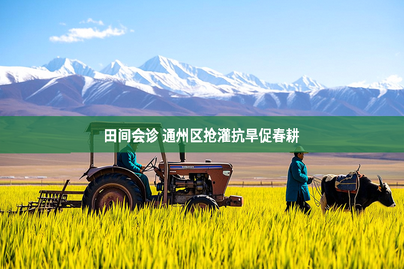 田間會診 通州區(qū)搶灌抗旱促春耕