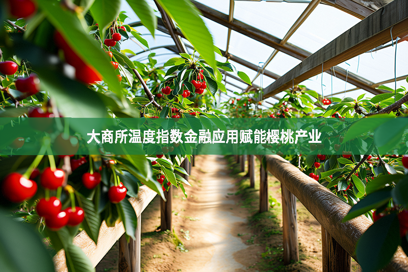 大商所溫度指數金融應用賦能櫻桃產業