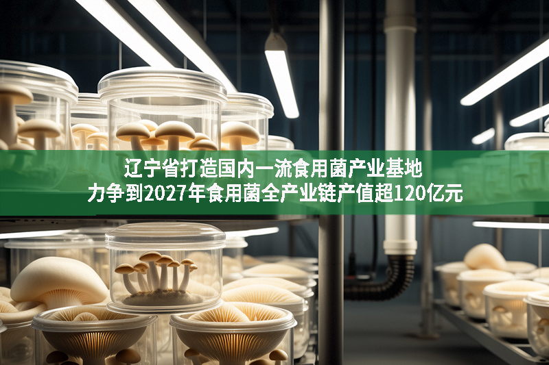 遼寧省打造國內(nèi)一流食用菌產(chǎn)業(yè)基地 力爭到2027年食用菌全產(chǎn)業(yè)鏈產(chǎn)值超120億元