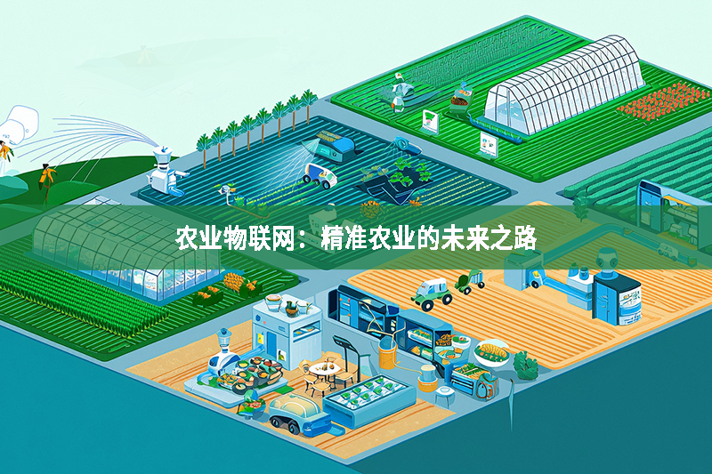 農(nóng)業(yè)物聯(lián)網(wǎng)：精準(zhǔn)農(nóng)業(yè)的未來之路