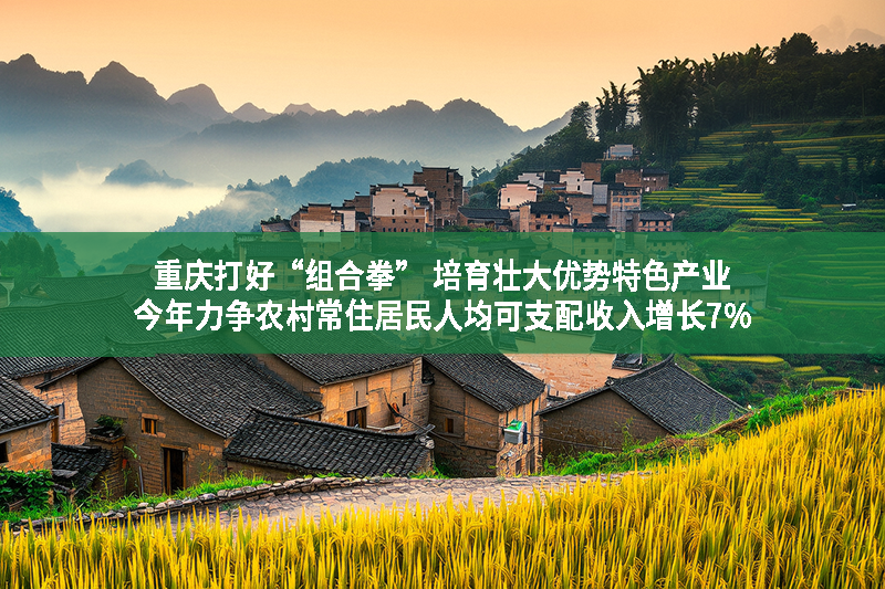 重慶打好“組合拳” 培育壯大優(yōu)勢特色產(chǎn)業(yè) 今年力爭農(nóng)村常住居民人均可支配收入增長7%