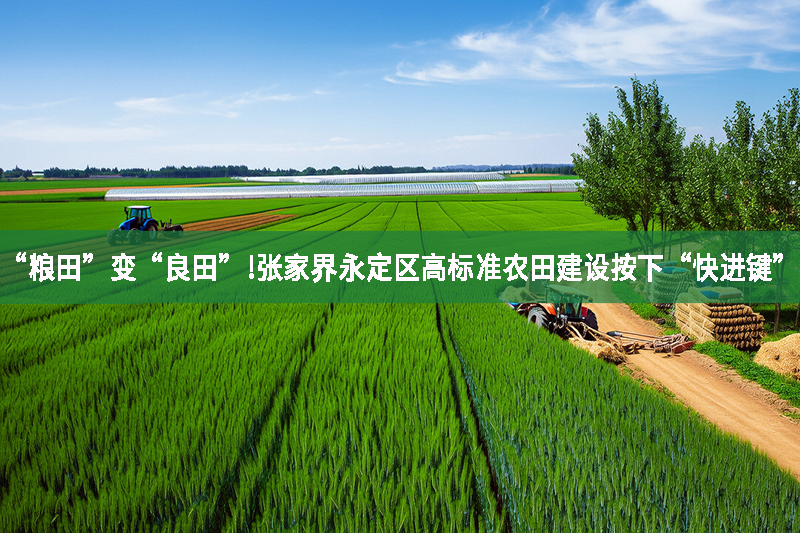 “糧田”變“良田”!張家界永定區(qū)高標(biāo)準(zhǔn)農(nóng)田建設(shè)按下“快進(jìn)鍵”