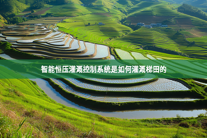 智能恒壓灌溉控制系統是如何灌溉梯田的