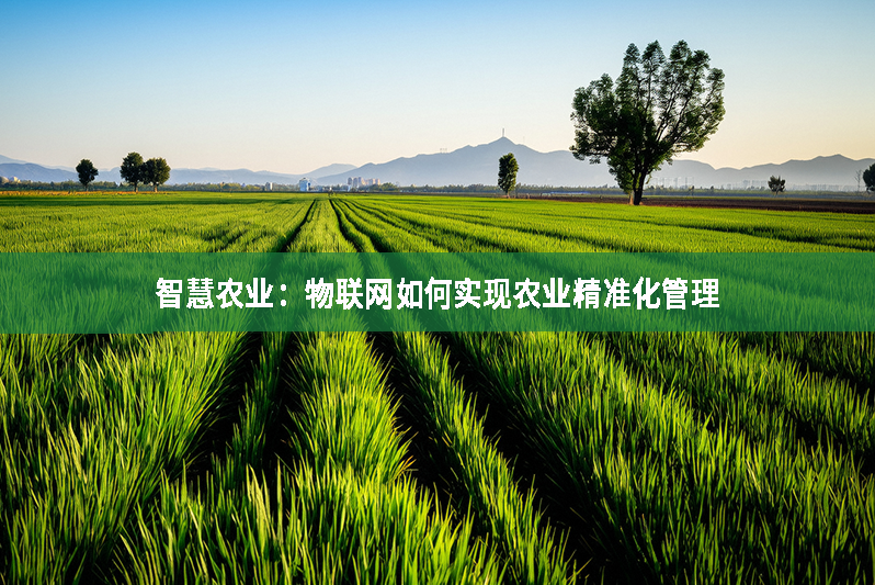 智慧農(nóng)業(yè)：物聯(lián)網(wǎng)如何實(shí)現(xiàn)農(nóng)業(yè)精準(zhǔn)化管理