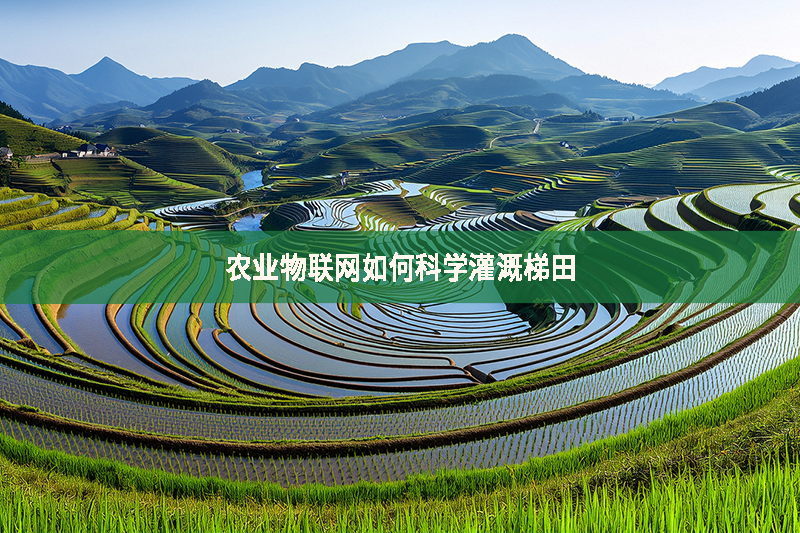 農(nóng)業(yè)物聯(lián)網(wǎng)如何科學(xué)灌溉梯田