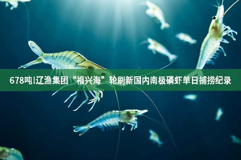678噸!遼漁集團“福興海”輪刷新國內南極磷蝦單日捕撈紀錄