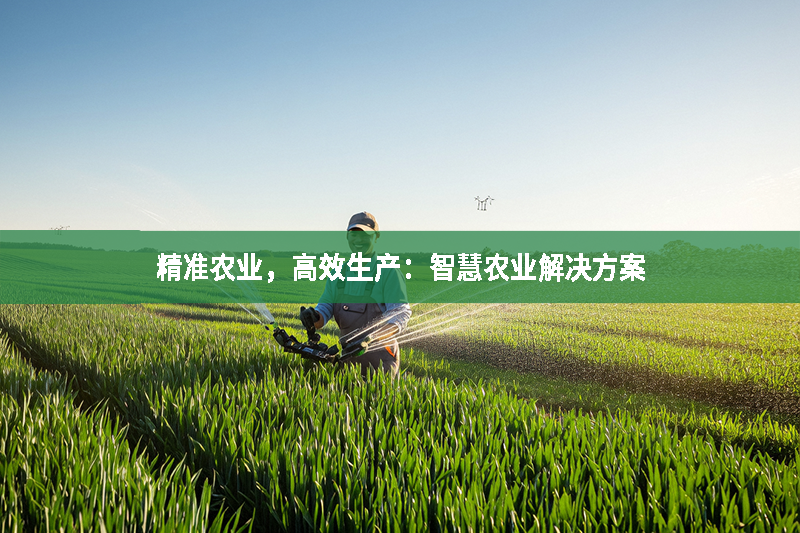 精準(zhǔn)農(nóng)業(yè)，高效生產(chǎn)：智慧農(nóng)業(yè)解決方案