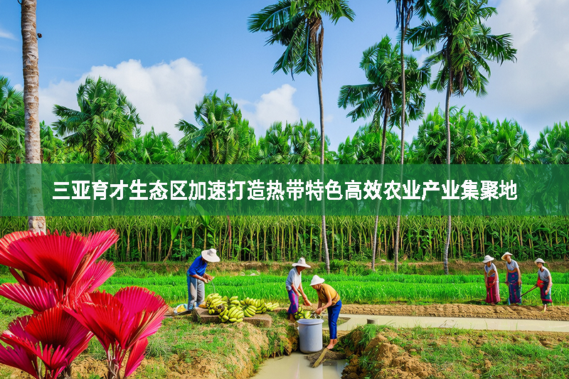 三亞育才生態區加速打造熱帶特色高效農業產業集聚地
