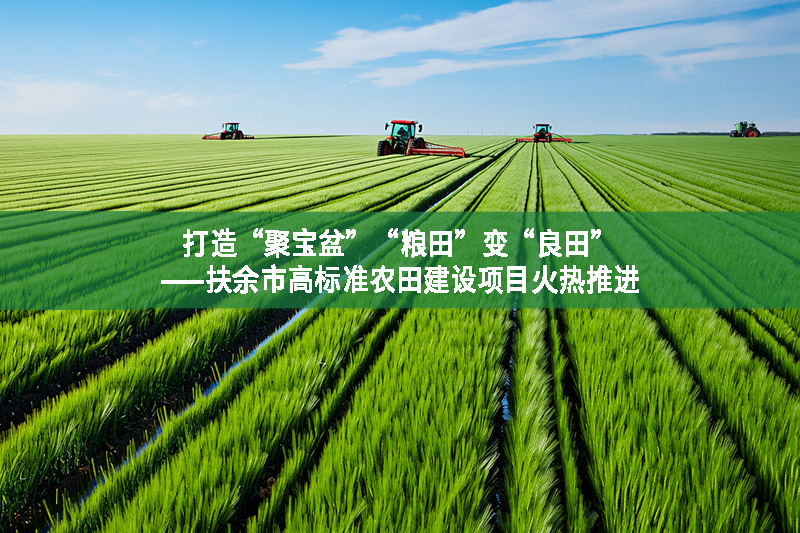 打造“聚寶盆”“糧田”變“良田”——扶余市高標準農田建設項目火熱推進
