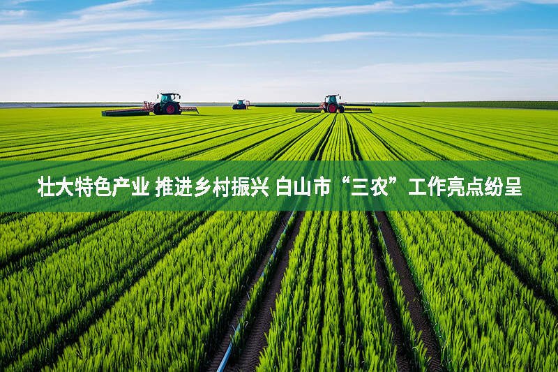壯大特色產業 推進鄉村振興 白山市“三農”工作亮點紛呈