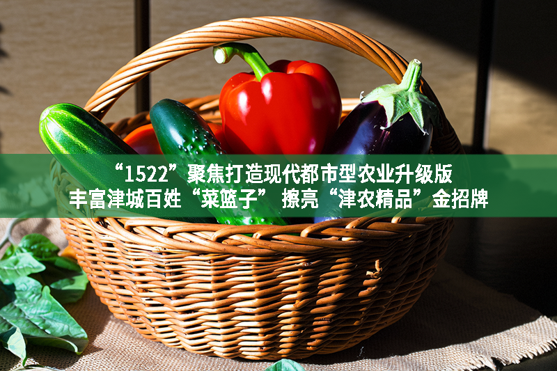 “1522”聚焦打造現代都市型農業升級版 豐富津城百姓“菜籃子” 擦亮“津農精品”金招牌