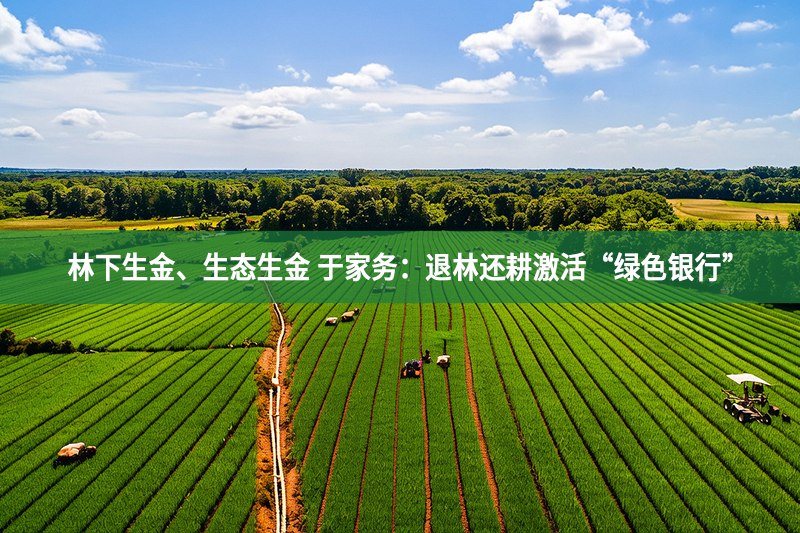 林下生金、生態生金 于家務：退林還耕激活“綠色銀行”