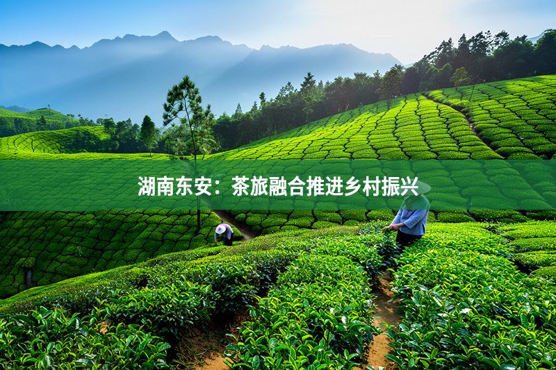 湖南東安：茶旅融合推進鄉村振興