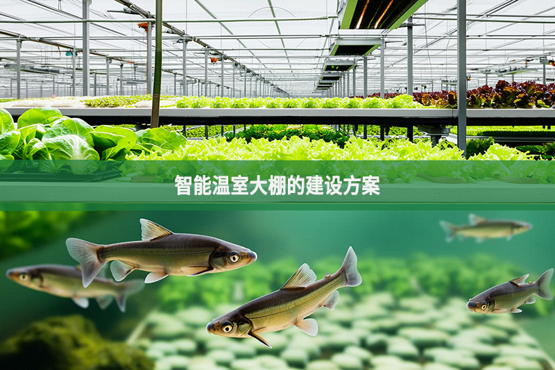 智能溫室大棚的建設(shè)方案