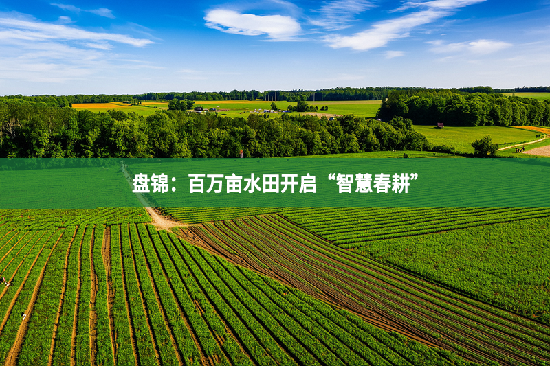 盤(pán)錦：百萬(wàn)畝水田開(kāi)啟“智慧春耕”