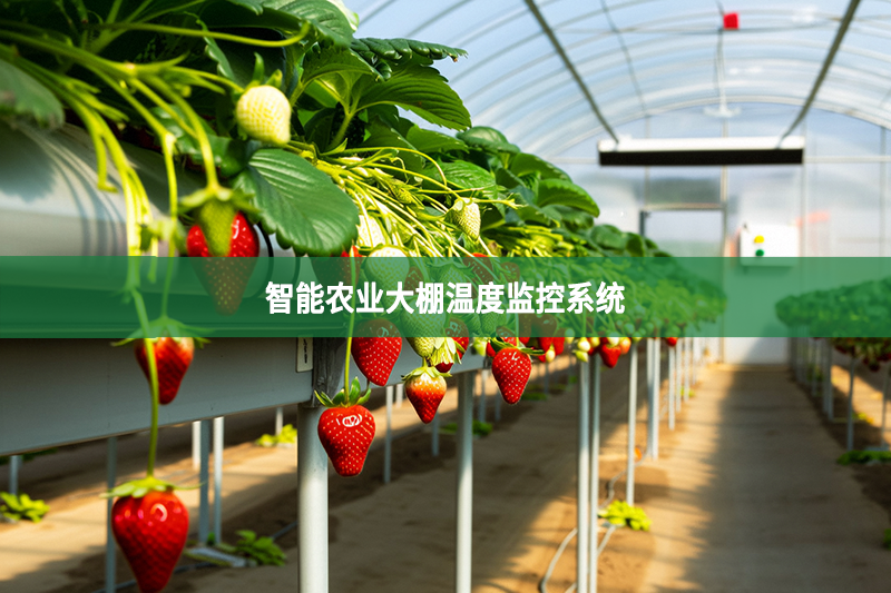 智能農(nóng)業(yè)大棚溫度監(jiān)控系統(tǒng)