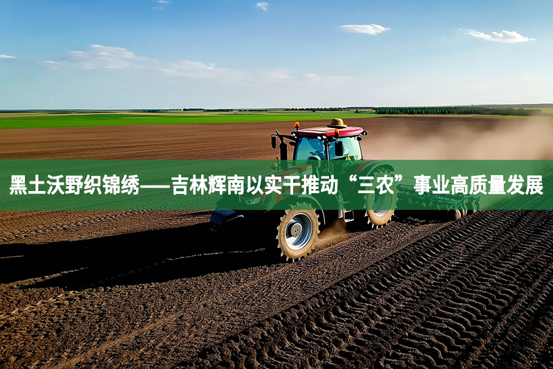 黑土沃野織錦繡——吉林輝南以實干推動“三農”事業高質量發展