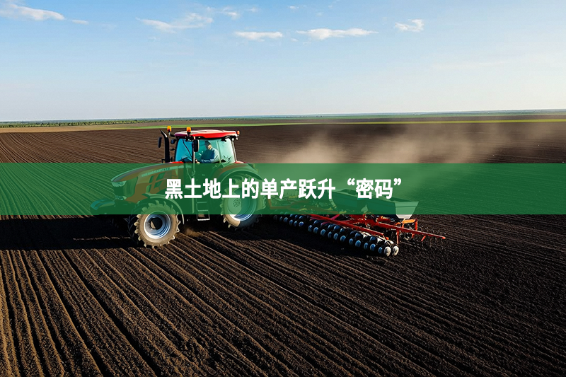 黑土地上的單產躍升“密碼”