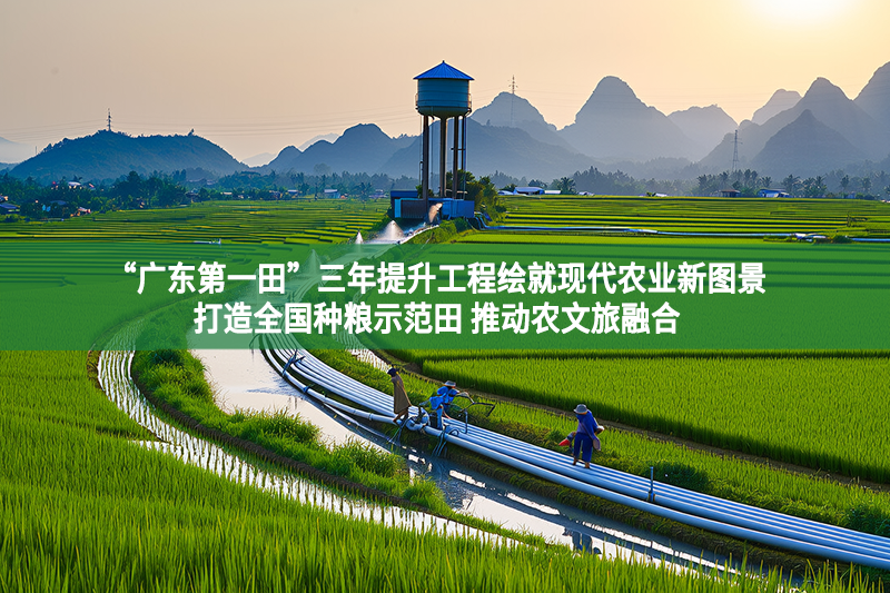 “廣東第一田”三年提升工程繪就現代農業新圖景 打造全國種糧示范田 推動農文旅融合