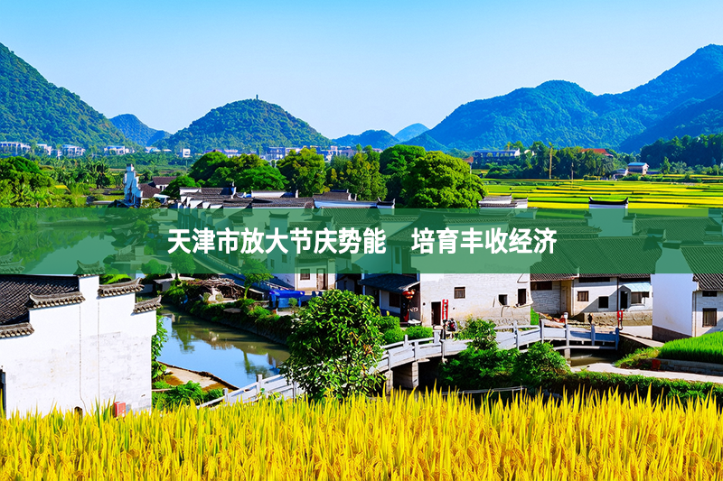 天津市放大節慶勢能　培育豐收經濟
