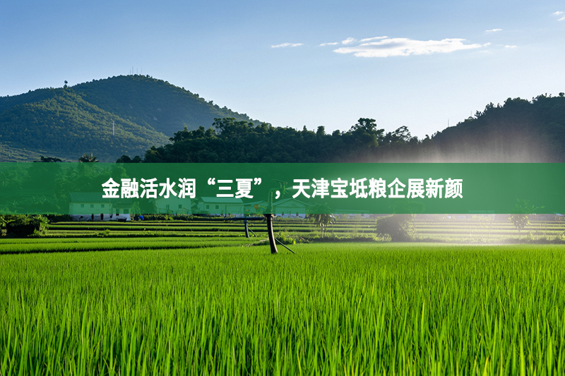 金融活水潤“三夏”，天津寶坻糧企展新顏
