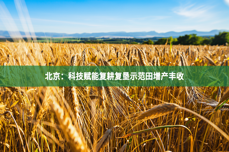 北京：科技賦能復(fù)耕復(fù)墾示范田增產(chǎn)豐收